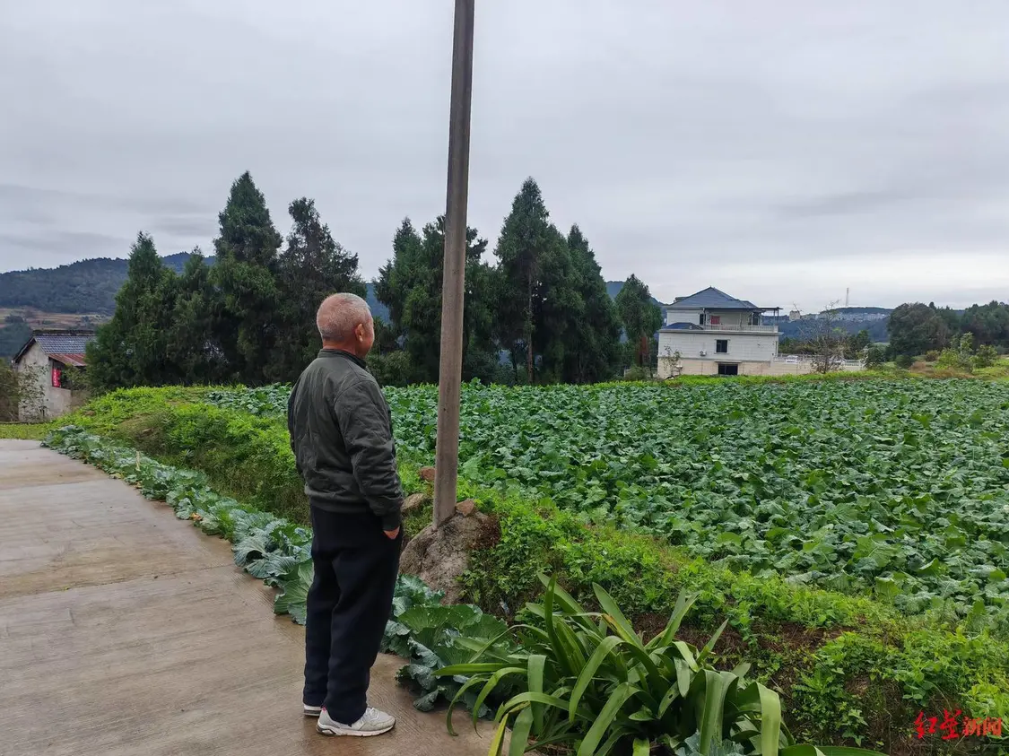 夫妻进城务工十年后回村种地,妻子被卷入收割机