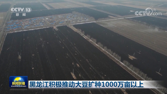 黑龙江积极推动大豆扩种1000万亩以上