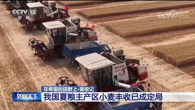 我国夏粮主产区小麦丰收已成定局
