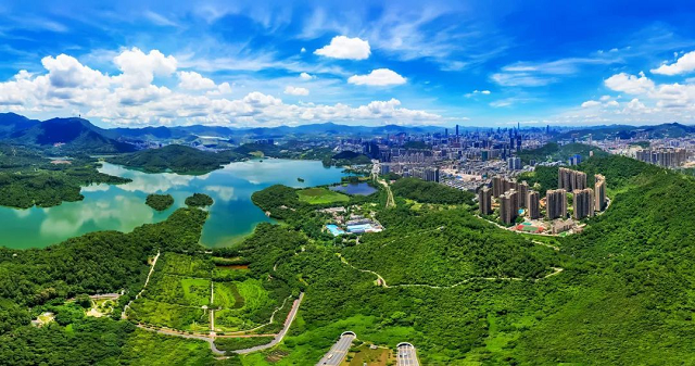 深圳正式签发第1号林长令