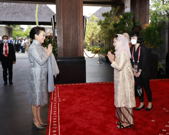 彭丽媛会见印尼总统夫人